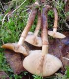 image hosting by imagevenue.com