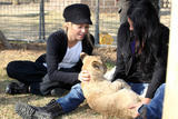 th_12384_celebrity_paradise.com_TheElder_Shakira2010_07_08_atTheLionParkinJohannesburg_122_375lo.jpg