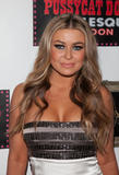 th_02611_celebrity_paradise.com_Carmen_Electra_opening_96_122_489lo.jpg