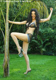 Julie Strain - Fan Club of Erotic Models