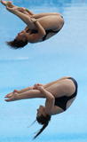 http://img147.imagevenue.com/loc260/th_43024_diving_world_champs_shanghai_2011_020_122_260lo.jpg